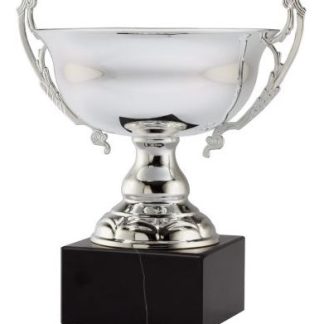 Cup Awards